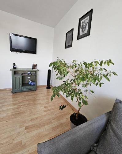 Apartament WELES