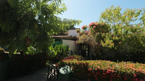 Casa Olinalá, Ixtapa (foto 3)