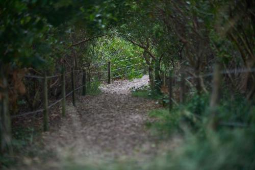 Ingenia Holidays Byron Bay - image 5