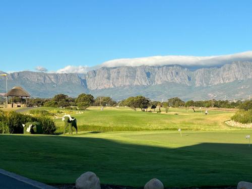 Somerset Garden Route Apartments & Wellness - image 9