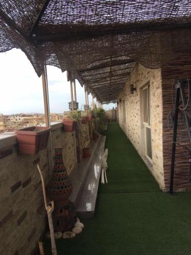 Garden, Royal palace in Tanta