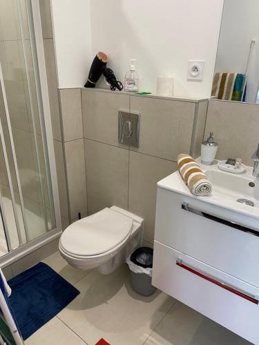Zuhanyzó, Superbe Chambre ParentaleDouche Privée et WC Privés, Wifi, Cuisine Intégrée (Superbe Chambre ParentaleDouche Privee et WC Prives, Wifi, Cuisine Integree) in Vandoeuvre-les-Nancy