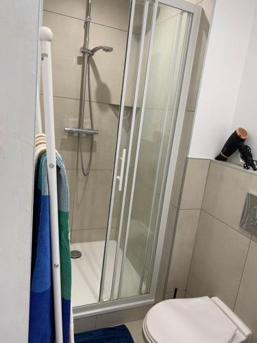 Zuhanyzó, Superbe Chambre ParentaleDouche Privée et WC Privés, Wifi, Cuisine Intégrée (Superbe Chambre ParentaleDouche Privee et WC Prives, Wifi, Cuisine Integree) in Vandoeuvre-les-Nancy