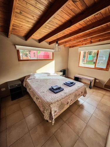 Cauquen Alojamientos