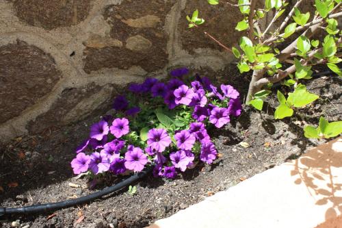 Hotel Castelsardo Domus Beach - image 4