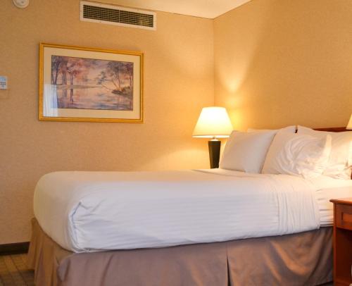 Double Room room in Amenida Residences Calgary