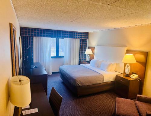 Quality Inn - image 10
