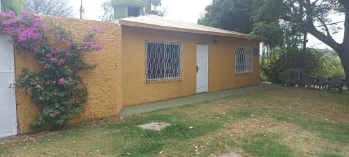 Tamae piriapolis in Playa Verde