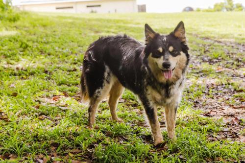 Spring Haven Retreat by Tiny Away