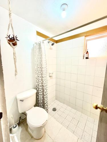 Apartment with terrace near downtown, San Miguel de Allende (foto 9)
