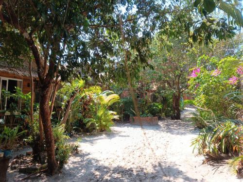 Surrounding environment, Sunny Bungalow in Koh Rong Sanloem