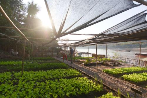 The Belle Rive Boutique Hotel