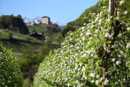 Pension Stamserhof