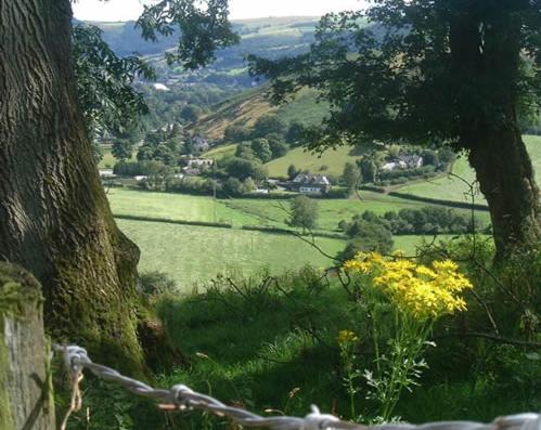 Horseshoe Pass Holiday Lets - image 6