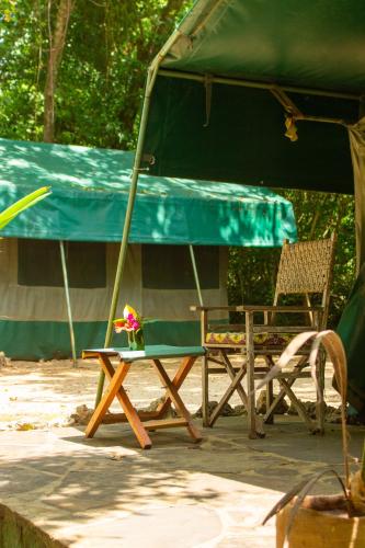 Firefly Eco Retreat Room Type - Tent