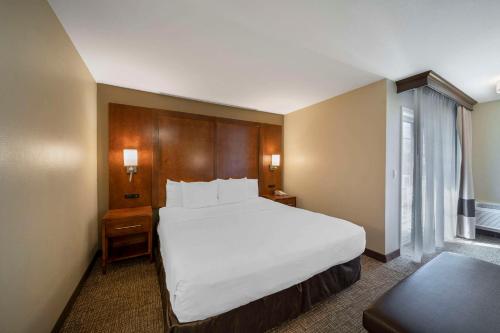 Comfort Suites Red Bluff Near I-5 - image 4