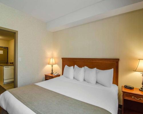 Quality Inn & Suites Room Type - King Suite with Sofa Bed - Smoking Quality Inn & Suites Room Type - King Suite with Sofa Bed - Smoking
