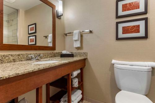 Comfort Suites Bridgeport - Clarksburg - image 13