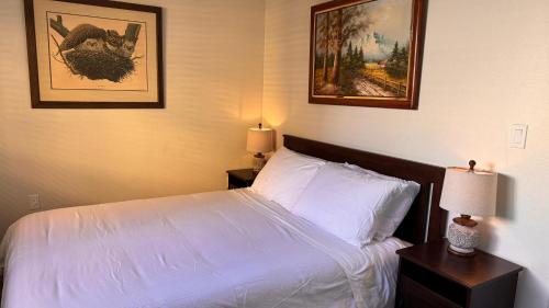 Private Room and Bathroom, Los Angeles (foto 6)