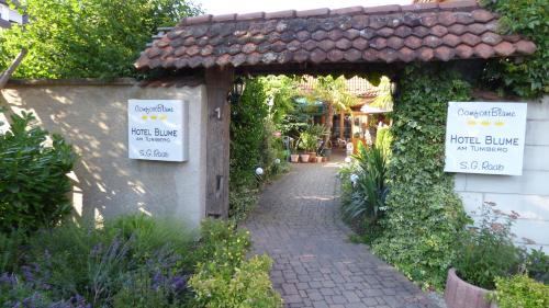 Hotel Blume - Tap to explore photos