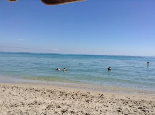 Chateau Del Marina Penthouses - image 10