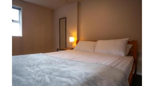 3 Bed Room downstairs house with Private entrance, Auckland (fotografie 7)