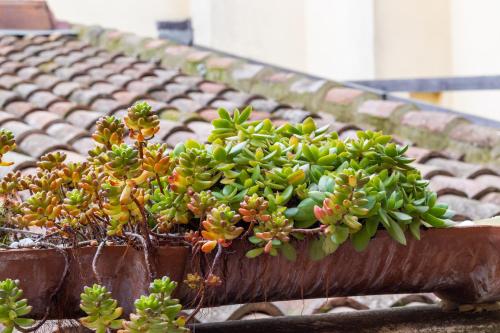 Room & Breakfast Canalino 21