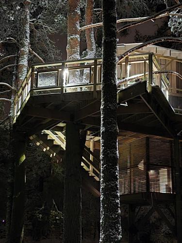 Treehouse Čiekurs