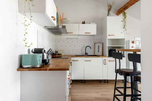 Le Loft Botanique Et Son Parking Gratuit, Toulouse (foto 6)