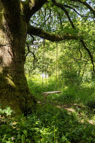 Surrounding environment, Alum House Littlebeck Glamping Whitby in Littlebeck