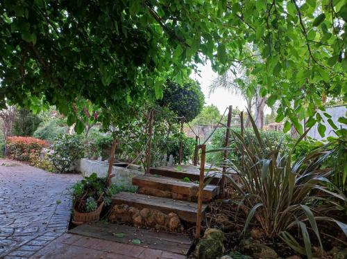 Les moreres a space for tranquility, Valencia (Foto 10)