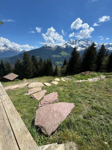 Chalet Swiss - Salle de Jeux et Vue Panoramique gîte à louer Gîte de Celaau