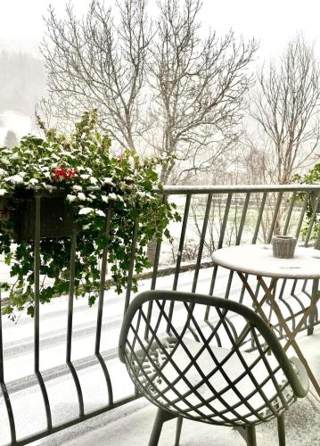 Hôtel Restaurant du Plomb du Cantal - image 6