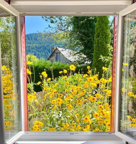 Hôtel Restaurant du Plomb du Cantal - main image