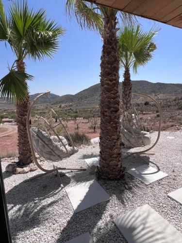 Disfruta in Hondon De Las Nieves