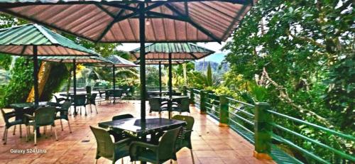 Rainforest Lodge Deniyaya Singheraja in Kotapola