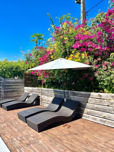 The BlueBamboo in Le Moule