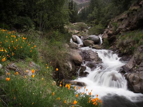 Cascada de las Animas