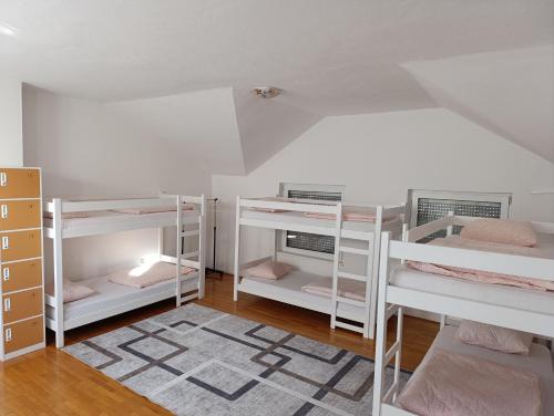 Bed in 6-Bed Mixed Dormitory Room