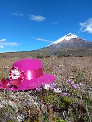 Rumipaxi Lodge in Latacunga