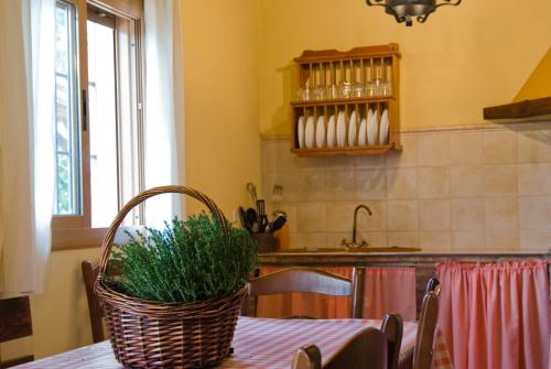 cuina, Rural Montes Malaga: Finca Pedregales in Montes de Malaga