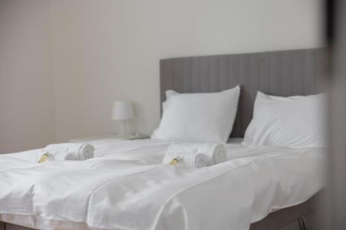 Downtown Dream 2 5BR with Balcony and Style BA 51, Zürich (photo 7)