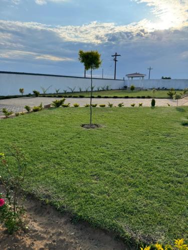 Matrogwane BnB and Hall Matrogwane BnB and Hall