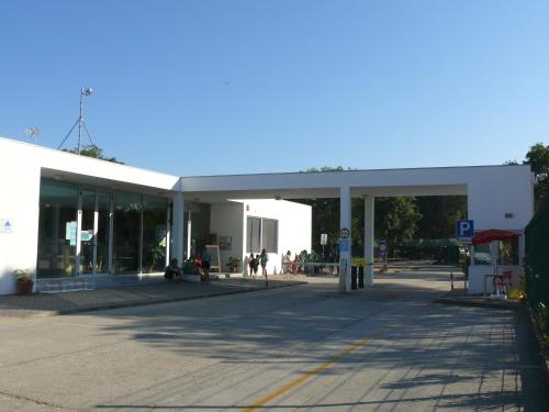 Parque de Campismo Orbitur Montargil - image 3