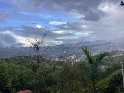 Bella vista 2