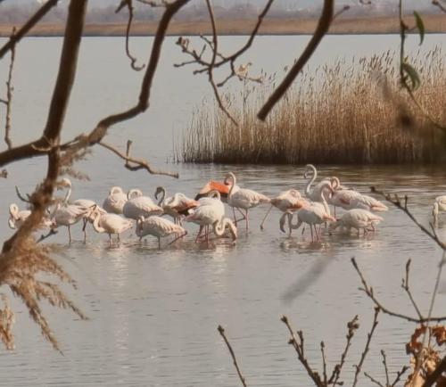 Guesthouse Kune - Vaini Guesthouse Kune - Vaini