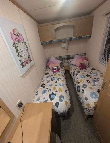 Whitehouse 8 berth towyn