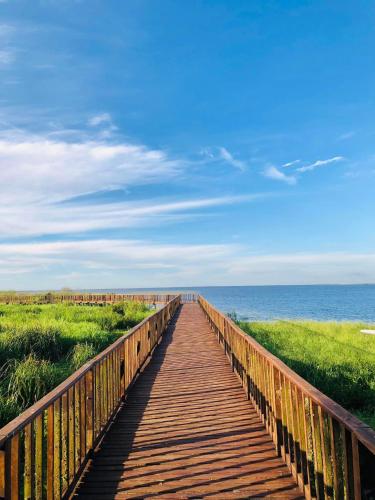 Che Cambá (Che Camba) in 哥洛尼亞卡洛斯佩萊格里尼