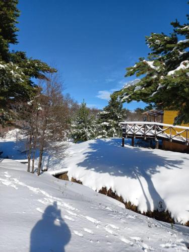 Centro turístico malalcahuello ltda