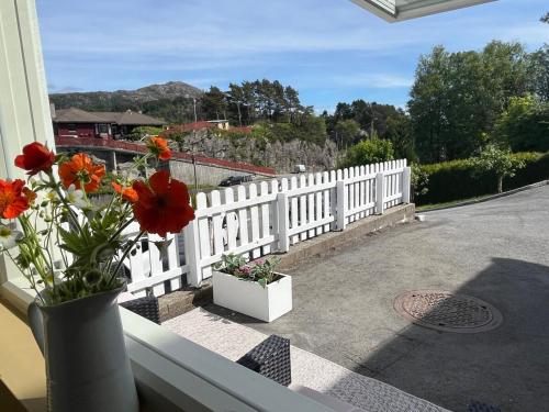 Cozy studio near Bergen in Olsvik